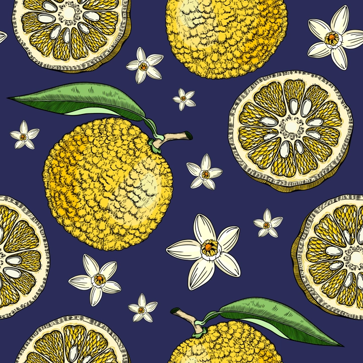 Sketched yuzu background with decorative fruit, leaves, and flowers in engraving style. Hand-drawn citrus plant seamless pattern in color. Asian citron botanical design for print. 